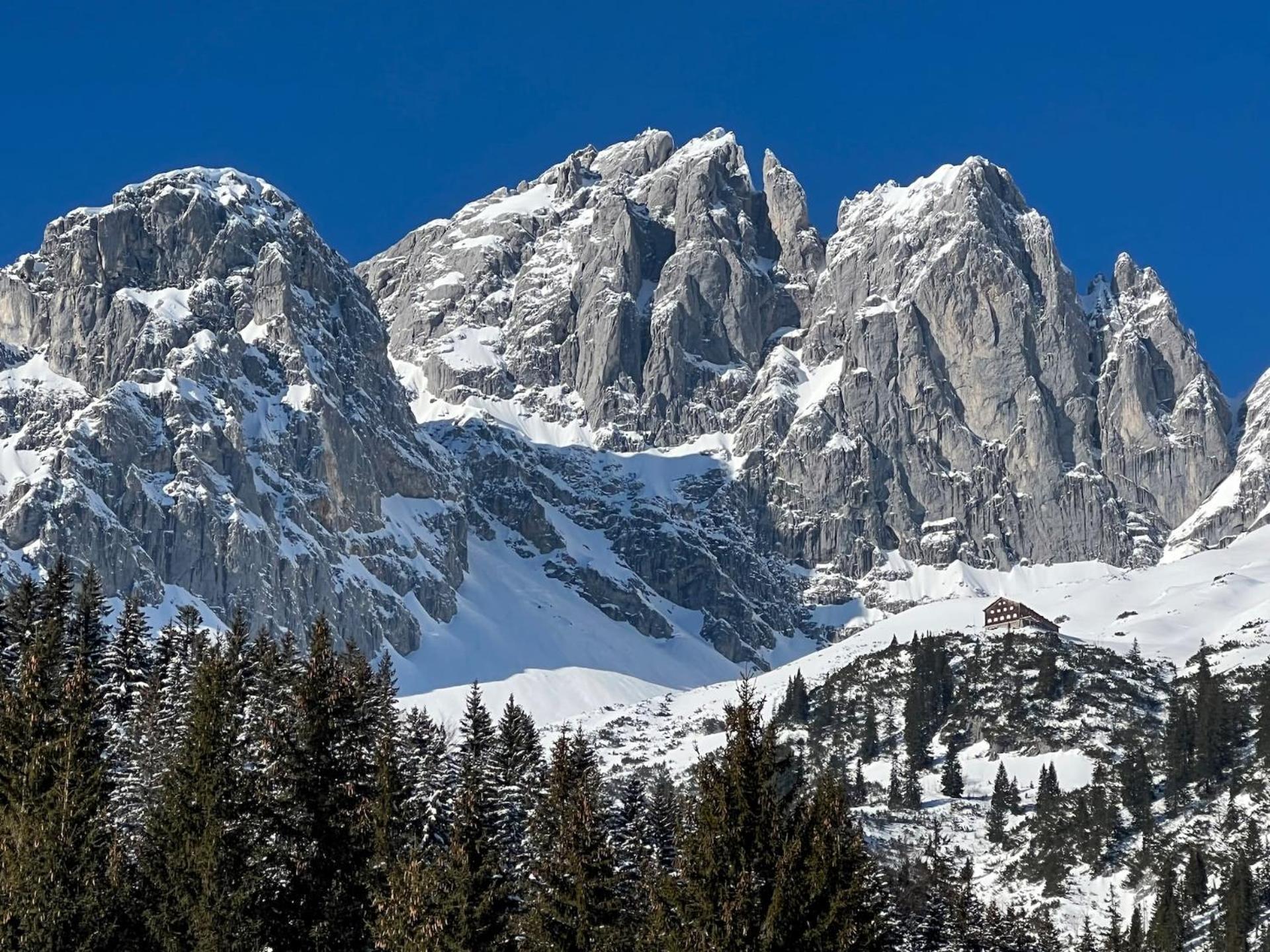 Geniessen Sie Bergblick & Sauna Im Modernen Chalet Going am Wilden Kaiser Eksteriør bilde